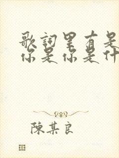 歌词里有是你是你是你是什么歌