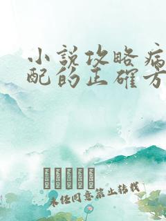 小说攻略病娇男配的正确方法免费阅读