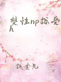 双性np总受高h