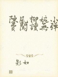 陈风柳婉小说免费阅读无弹窗