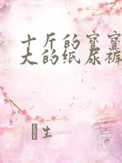 十斤的宝宝用多大的纸尿裤