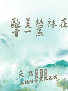 欧美丝袜在线观看一区