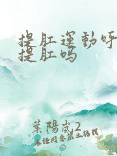 提肛运动呼气时提肛吗