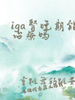 iga肾晚期能治疗吗