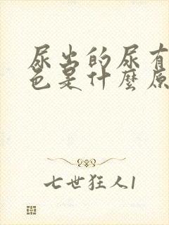 尿出的尿有点红色是什么原因