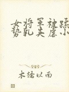 女将军被蹂躏玉势乳夹虐小说