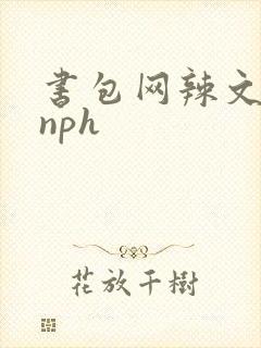 书包网辣文古代nph