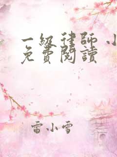 一级律师 小说免费阅读