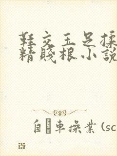 鞋交玉足揉虐榨精贱根小说