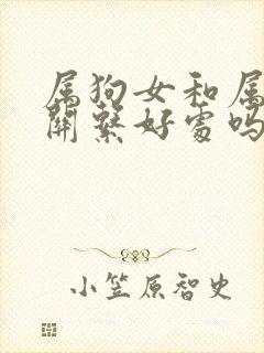 属狗女和属牛女关系好处吗