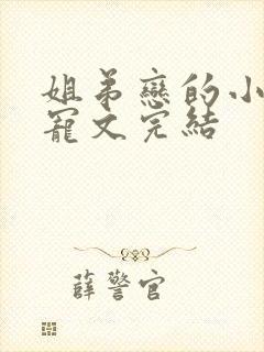 姐弟恋的小说甜宠文完结