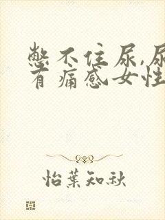 憋不住尿,尿道有痛感女性