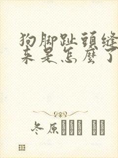 狗脚趾头缝肿起来是怎么了