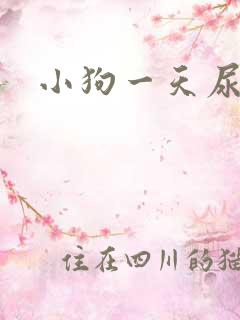 小狗一天尿几次