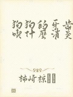 狗狗的牙齿发炎吃什么消炎药