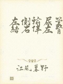 左侧输尿管上段结石伴左肾积液