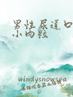 男性尿道口处有小肉粒