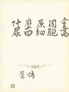 什么原因会引起尿白细胞高