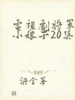 电视剧将军家的小娘子20集至40集