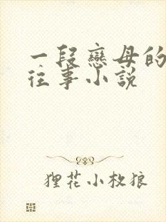 一段恋母的追忆往事小说