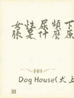 女性尿频下腹坠胀是什么原因