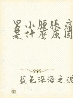 男小腹胀痛尿频是什么原因