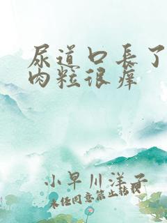 尿道口长了一堆肉粒很痒