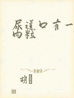 尿道口有一排小肉粒