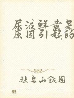 尿液鲜黄是什么原因引起的