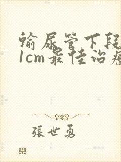 输尿管下段结石1cm最佳治疗方案