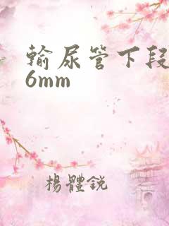 输尿管下段结石6mm
