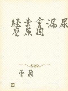 经常会漏尿是什么原因