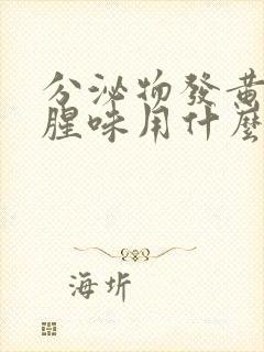 分泌物发黄有鱼腥味用什么药