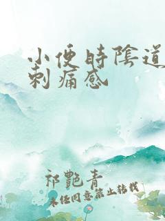 小便时阴道口有刺痛感