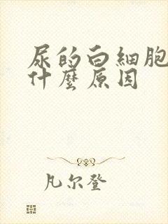 尿的白细胞高是什么原因