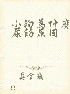 小狗为什么会漏尿的原因