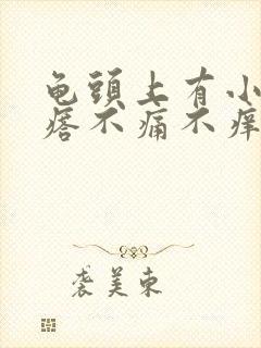 龟头上有小红疙瘩不痛不痒怎么回事