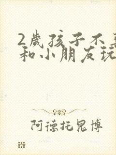 2岁孩子不喜欢和小朋友玩