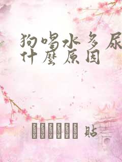 狗喝水多尿多是什么原因