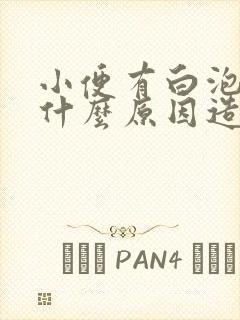 小便有白泡泡是什么原因造成的