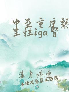 中至重度系膜增生性iga肾