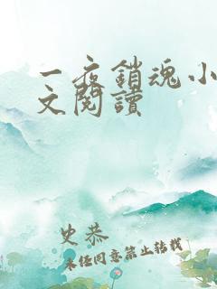 一夜销魂小说全文阅读