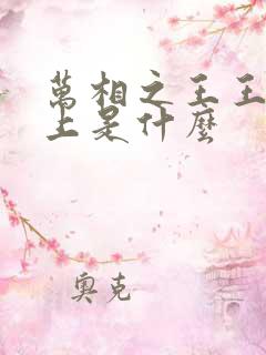 万相之王王境之上是什么