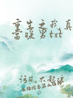 重生之我真没想当暖男txt