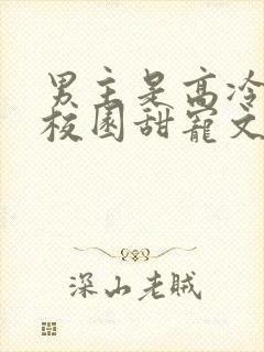 男主是高冷校草校园甜宠文