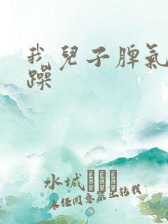 我儿子脾气很暴躁