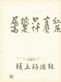 尿检只有红细胞高是什么原因