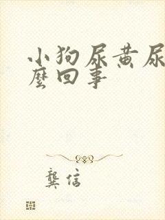 小狗尿黄尿是怎么回事