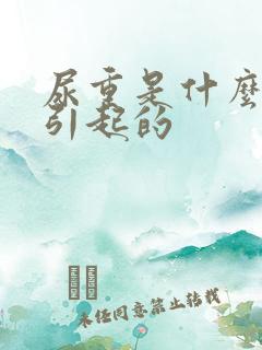 尿重是什么原因引起的