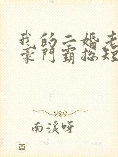 我的二婚老公是豪门霸总短剧